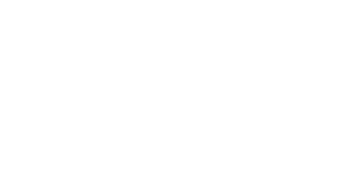 AIV Frankfurt